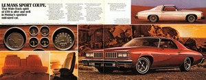 1977 Pontiac Lemans (Cdn)-04-05.jpg